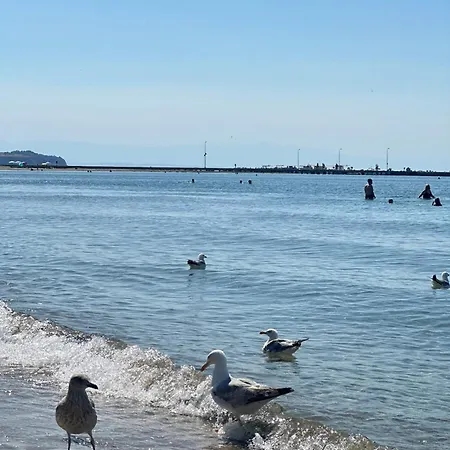 Family Διαμέρισμα *